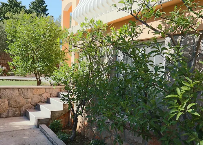 Guest house California 3*